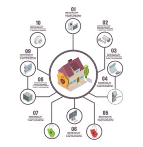 Website Development Infographics